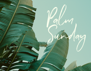 Palm Sunday 2017: The Difficult Road