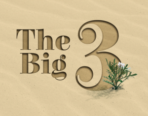 The Big Three: Engaging Miracles of Life Change The Big Three: Engaging Miracles of Life Change