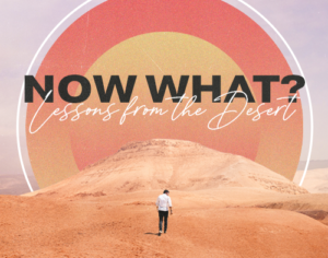Now What – Lessons from the Desert Now What – Lessons from the Desert