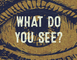 What Do You See What Do You See