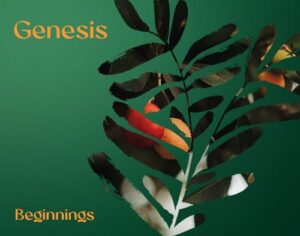 Genesis – Beginnings Genesis – Beginnings