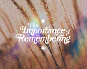 The Importance of Remembering The Importance of Remembering