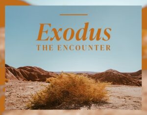 Exodus: The Encounter Exodus: The Encounter