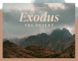 Exodus: The Desert Exodus: The Desert