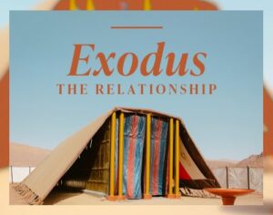 Exodus: The Relationship Exodus: The Relationship