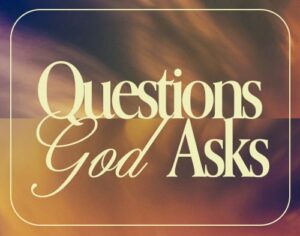 Questions God Asks Questions God Asks